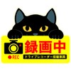 Cute Cat Magnetic Sign Dash Cam Recording Black Cat