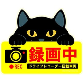 Cute Cat Magnetic Sign Dash Cam Recording Black Cat
