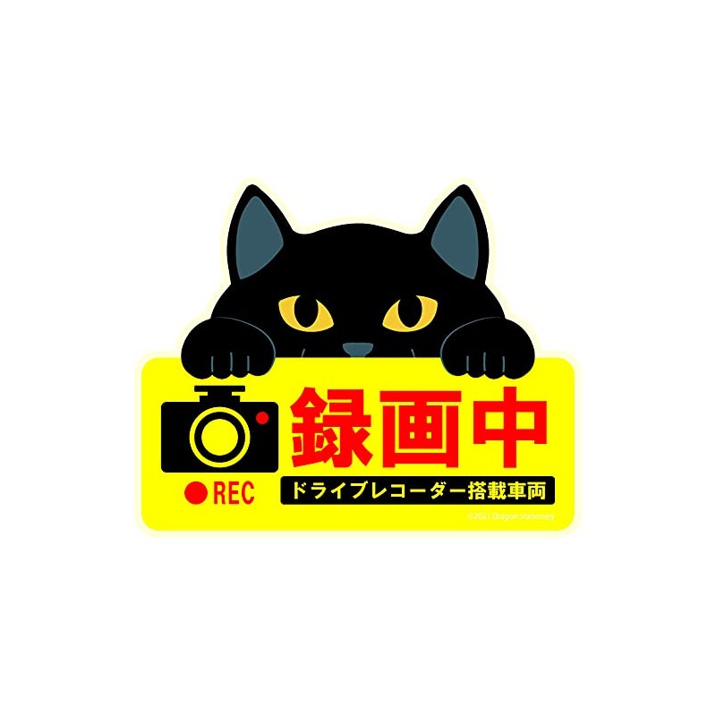 Cute Cat Magnetic Sign Dash Cam Recording Black Cat