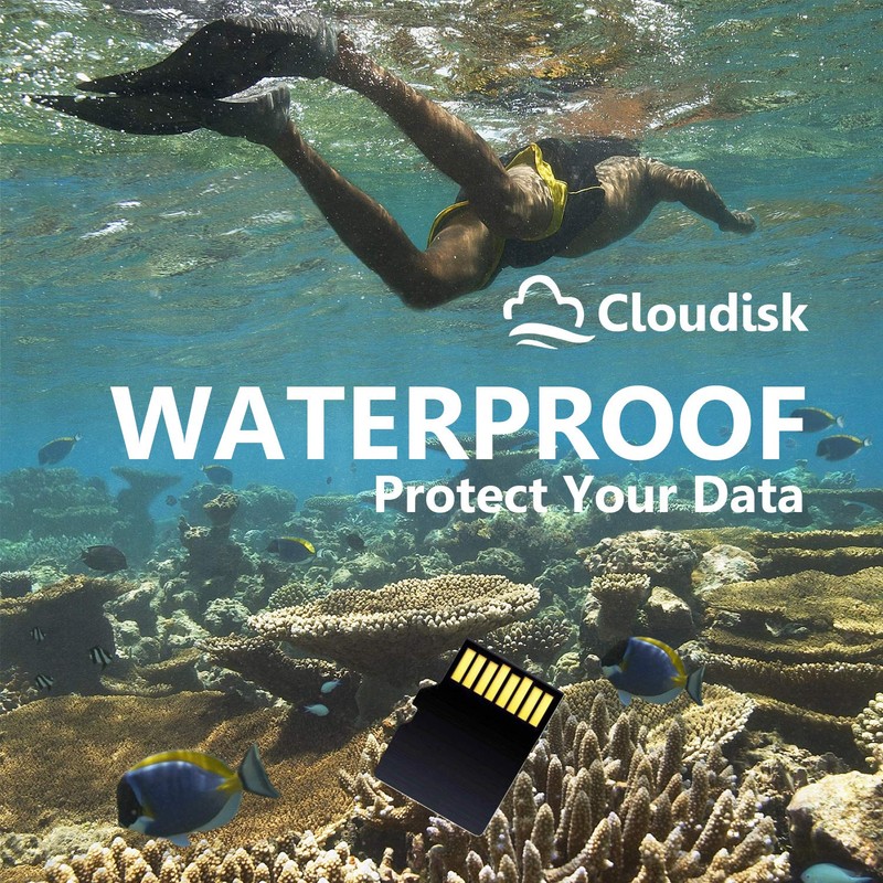 Cloudisk Pack of 10 Micro SD Card 4GB Flash Memory