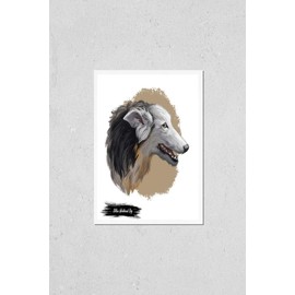 Silken windhound dog isolated digital art illustration. Hand drawn dog muzzle portrait, puppy cute pet. Dog breeds from United States. Silken Windhound American breed of sighthound, noted coursers