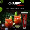Green Concept Chamoy De Jamaica Con Monk Fruit y Stevia/Pack