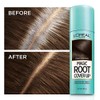 L'Oreal Paris Hair Color Root Cover Up Hair Dye Black