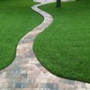 St. Augustine 'Seville' Sod - 36 Live Plugs - Drought,