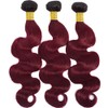 Burgundy Bundles Human Hair Ombre Body Wave Bundle 1B99J Bundles