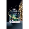 Fluval Chi II Set para Acuario, 5 galones