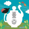 Clipper Tea Té Orgánico Naranja Y Cúrcuma 20 Bolsitas