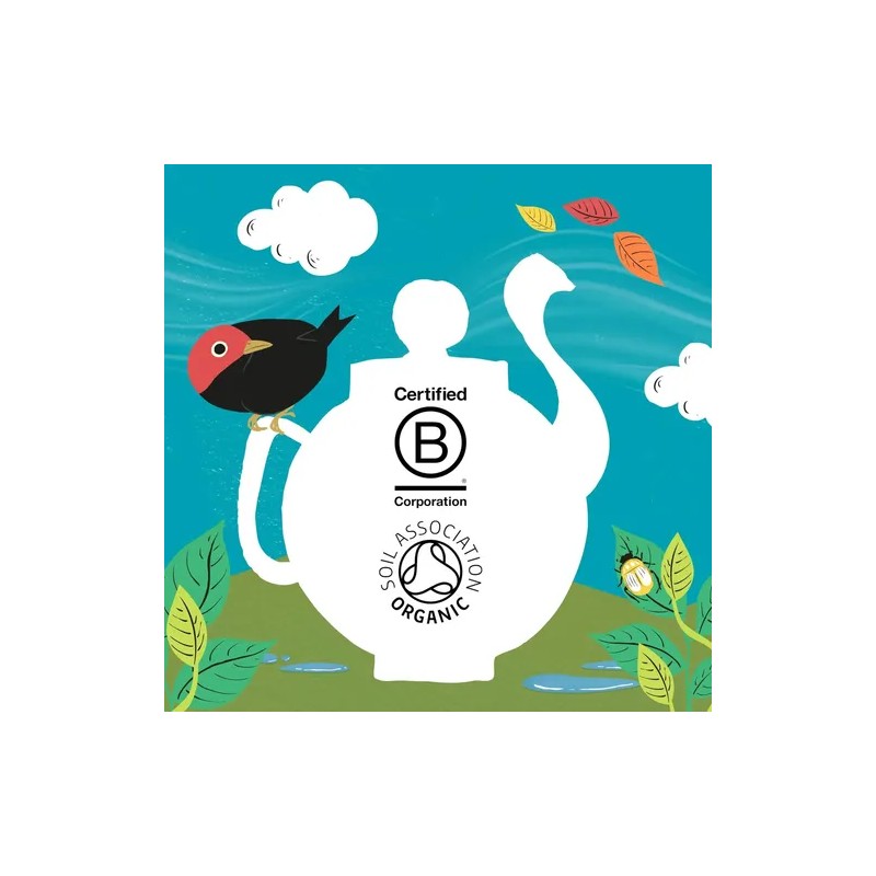 Clipper Tea Té Orgánico Naranja Y Cúrcuma 20 Bolsitas