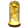 Rose in Glass Dome Lucky Beautiful Symbolism Romantic Enchanted Rose