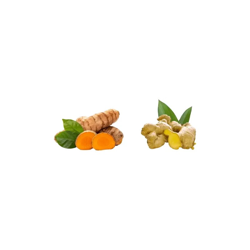 Curcuma Y Jengibre En Polvo 250 G C/u 100% Natural