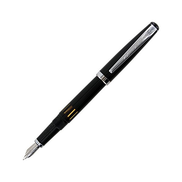 Noodler's Ink Nib Creaper Standard Flex Fountain Pen - Black