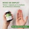bCb | Complejo B completo | Clorela y Colina
