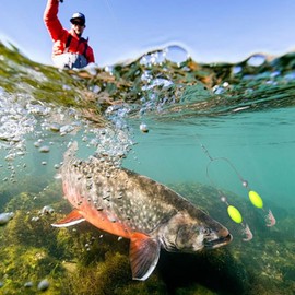 deegbbyi Pack of 5 Double Hook Reverse Bottom Rig, Fishing Hook Set Hooks, Fishing Tangle-Free Split Hook Design, Double Inverted Fishing Hook Set, for Jigging, Drifting, Casting