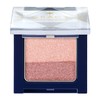 Integrated Gracie Finger Painted Gradation Eye Shadow PK1 Nuance Pink