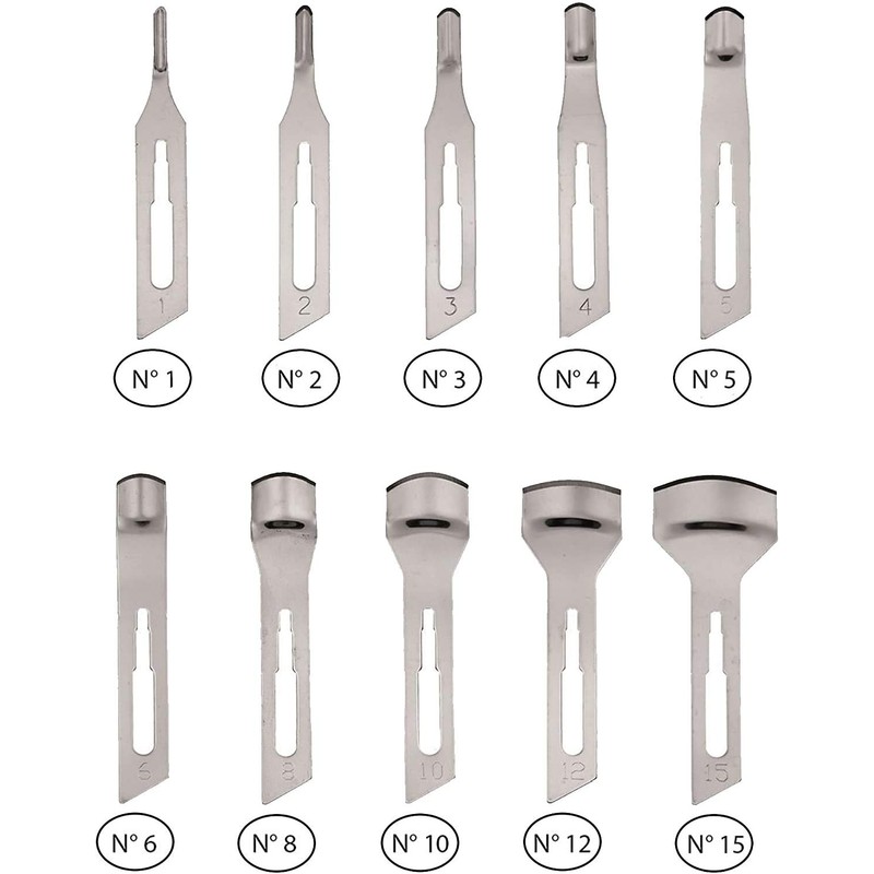 Sgorbie Lexus Disposable Podology Blades (Pack of 12) (No.15)