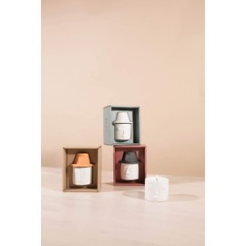 Paddywax Candles Persona Collection Scented Candle, 4-Ounce, Eucalyptus Santal