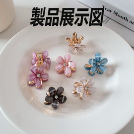 HUIKKJP Hair Clips, Mini Bangs Clips, Cute, Hair Ornament, Rapunzel Style, For Adults, Kids, Weddings, Parties, Hair Clips, (Set of 10)