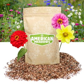 American Meadows Bouquets for Days Wildflower Seed Mix (1 lb) — 28 Varieties of Wildflowers, Bold Colors, Exclusive Mix, Non-GMO, Low Maintenance, Pollinator-Friendly