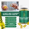Mullein Gummies for Respiratory Wellness | 1000mg Per Serving |