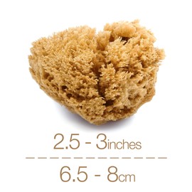 IntimateCare Sea Sponges. Natural, Absorbent, Biodegradable. Mediterranean Sponges in Plastic Free Packaging. Absolute Quality. (Natural Brown, 2x 6.5-8cm / 2.5-3in")