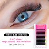 TDANCE Cashmere Easy Fan Lash Extensions Self Fanning Volume Lash