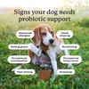 PetLab Co. Probiotics for Dogs, Support Gut Health, Occasional Diarrhea,