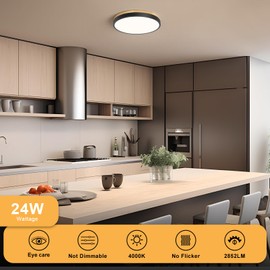 Vikaey LED Ceiling Light, Black Flush Ceiling Light 11.81inch, Ceiling Lamp for Living Room Kitchen Hallway Bedroom 4000K 24W