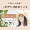 Natural Cosmetics Laboratory Basic UV BB Cream Beige Foundation Makeup