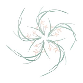 IWOWHERO 5pcs Flower Sewing Applique Orchid Embroidered Patch for Cheongsam Dress DIY Floral Decoration with Excellent Craftsmanship and Vibrant Colors