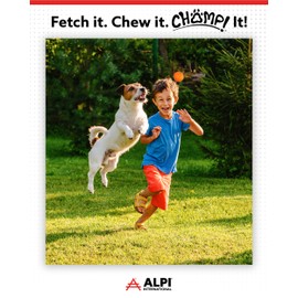 ALPI Chomp Ball - Durable Chew Toys for Dogs & Other Pets - Stimulating Dog Toys for Aggressive Chewers - Soft Dog Chews - 3-Pack, Assorted