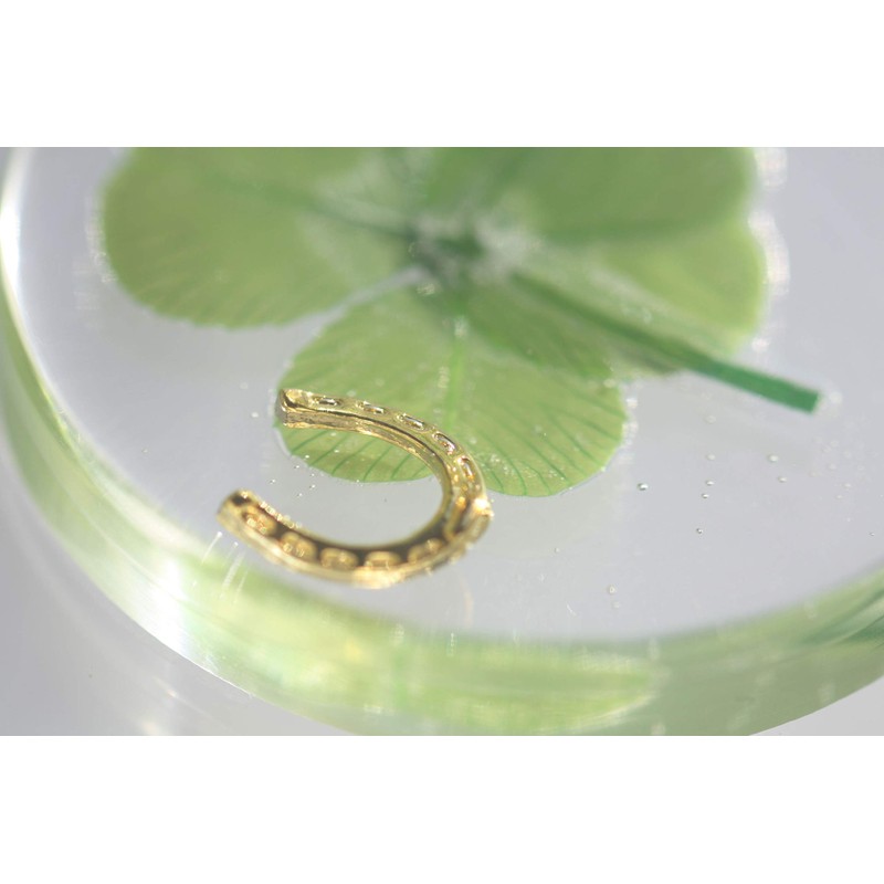 Real Four Leaf Clover Good Luck Pocket Token, Preserved, 1.25”,