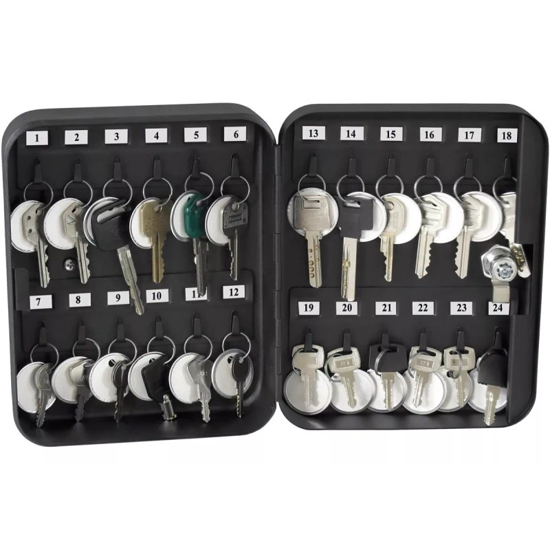 SentrySafe Caja Para 24 Llaves Seguro Con Llave Organizador Llavero