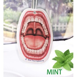 Car Air Freshener Anatomy 5 image Set 20 pack