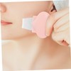 Beavorty Handheld Cleansing Brush Face Purifier Blackhead Remover Tool for