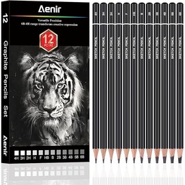 Sketching Pencils for Drawing, Set of 12 Drawing Pencils for Sketching Medium (6B - 4H), Artist Graphite Pencils for Drawing, Sketch Pencils for Artists for Sketching Supplies, Drawing Art Supplies.