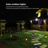Solar Pathway Lights Waterproof Colorful Lighting Auto On Off Solar