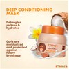 ETNIKER Deep Conditioning Mask for Afro-Curly, Wavy hair | Detangle,