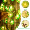 YOLUFER Lemon String Lights 20pcs LED Lights Lemon Slice Battery