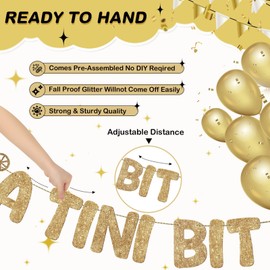 Fulmoon Pre Strung A Tini Bit Older Banner Glitter Martini Party Decorations Martini Bar Party Decorations Birthday Banner for Women (Champagne Gold)