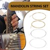 SG Store 2 Sets Mandolin Strings (.010-.034) with Loop End