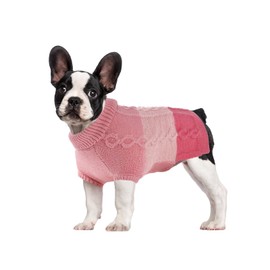 SHIAOMIN Dog Knitted Turtleneck Sweater - Dog Warm Pullover Color Block Cable Knitwear, Doggie Winter Clothes for Small Medium Pets Chihuahua, Bulldog, Golden Retriever (Pink, XL)