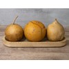 Box of 3 Dried Cannonball Gourds - 5" Diameter, Ready