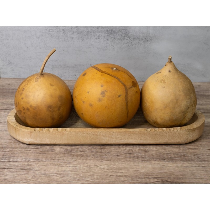 Box of 3 Dried Cannonball Gourds - 5" Diameter, Ready