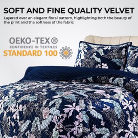 Pariza Printed Oversized Velvet Ultra-Soft Luxury Quilt Set with Shams, Wrinkle & Fade Resitant, All-Season, Diamond Stitching, Durable and Fine Quality, Queen, Multicolor