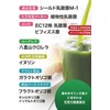 沖縄県産 モリンガ 青汁 手摘み モリンガパウダー 低温乾燥 クロレラ 3種の乳酸菌1000億個 ビフィズス菌 4種のオリゴ糖