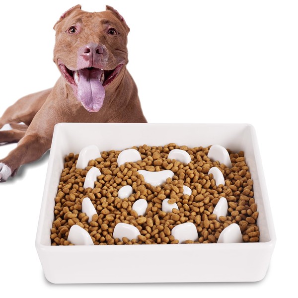 Square Slow Feeder Dog Bowls, Ceramic Fun Slow Eater Bowl