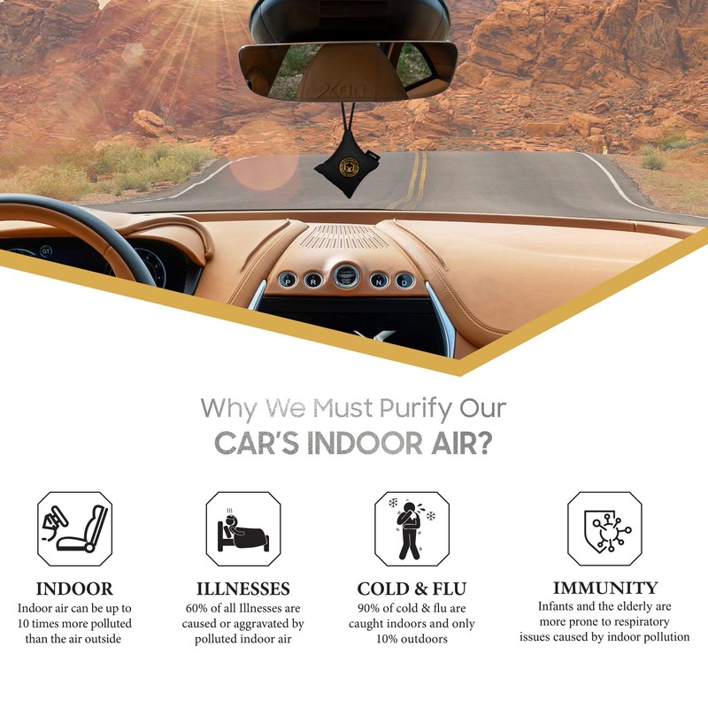 GOODAIR HEPA Car Air Purifier Bag & Pouch | 75g