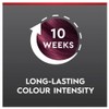 Schwarzkopf Brilliance Couture Collection 23 Burgundy Chic