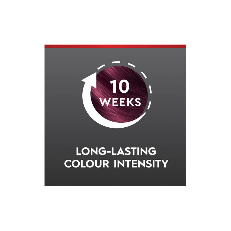 Schwarzkopf Brilliance Couture Collection 23 Burgundy Chic