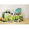 Caldrea Dish Soap, Biodegradable Dishwashing Liquid made with Soap Bark